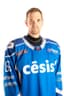 Zintis Vilnis