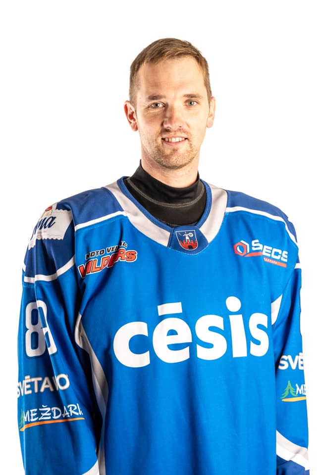 Zintis Vilnis